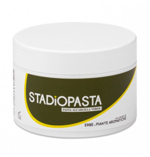 SportRecord Stadiopasta for Injuries 300g