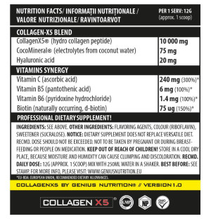 Zusammensetzung Genius Nutrition Collagen-X5 360g