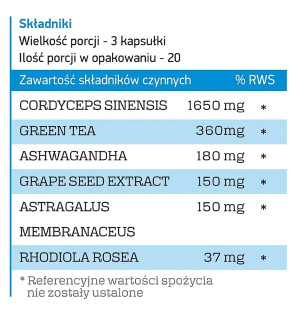 Skład produktu Solve Labs Shroom Force - Cordyceps Sinensis ATP Pre-Workout 60 kaps.