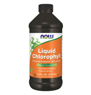 NOW Foods Chlorophyll Flüssigkeit 473ml Minze