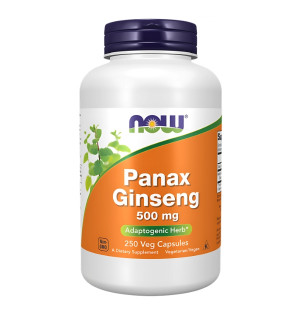 NOW Foods Panax Ginseng 500mg 250 kaps. Vege