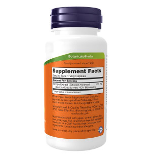 Zusammensetzung NOW Foods Bacopa-Extrakt 450mg 90 kaps. Vege