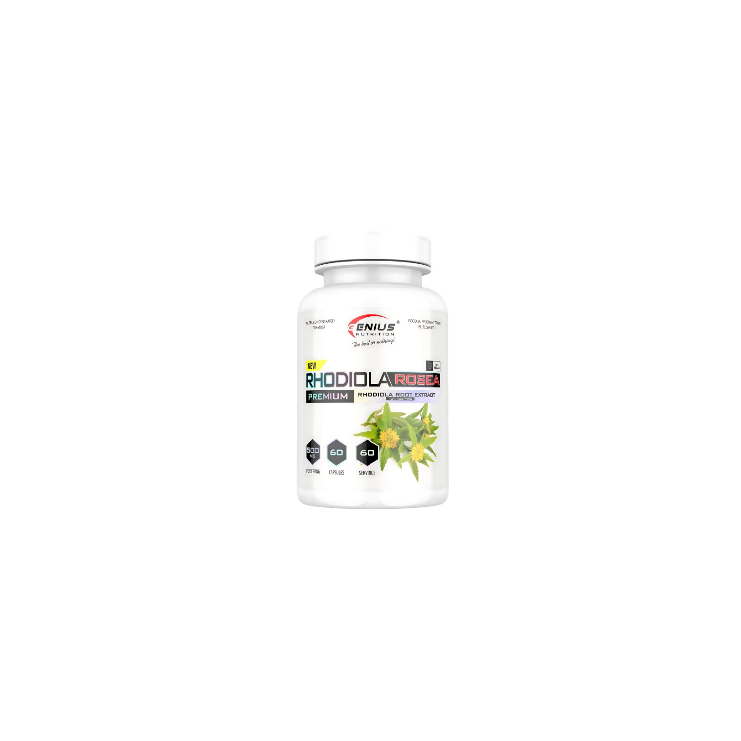 Genius Nutrition Rhodiola Rosea 500 mg – Nahrungsergänzungsmittel mit Rosenwurz-Extrakt, 60 Kapseln