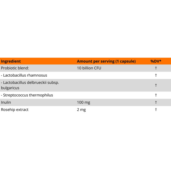 MLO Maximum Probiotic Charge composition – formula with 10 billion CFU, Lactobacillus, Streptococcus thermophilus, inulin