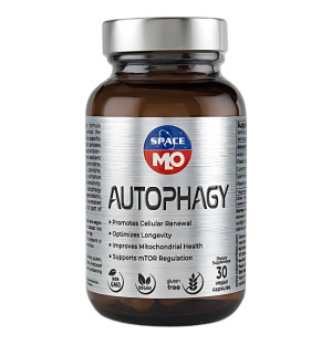 MLO Autophagy 30 capsules – a supplement supporting cell renewal, longevity, mitochondrial health and mTOR regulation