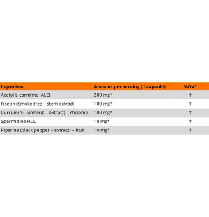 MLO Autophagy composition – Acetyl-L-carnitine, fisetin, curcumin, spermidine HCL, piperine