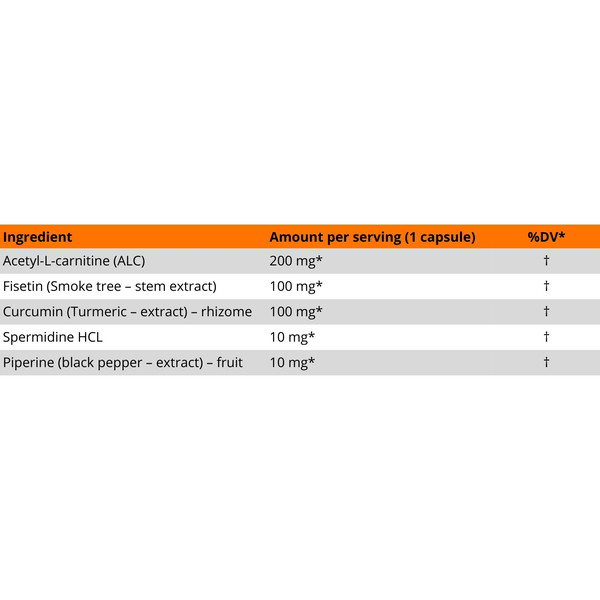 MLO Autophagy composition – Acetyl-L-carnitine, fisetin, curcumin, spermidine HCL, piperine