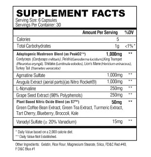 Condemned Labz DNA Dispatch Nutritional Information – Adaptogenic Mushroom Blend 1000 mg, Agmatine 1000 mg, Arugula 1000 mg.